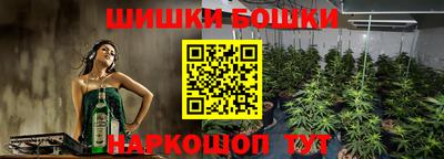 mdpv Ачхой-Мартан